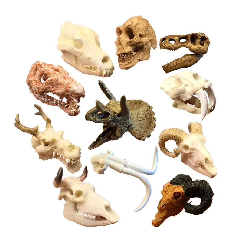 Simulation resin skull bones decorative landscaping aquarium decor fish