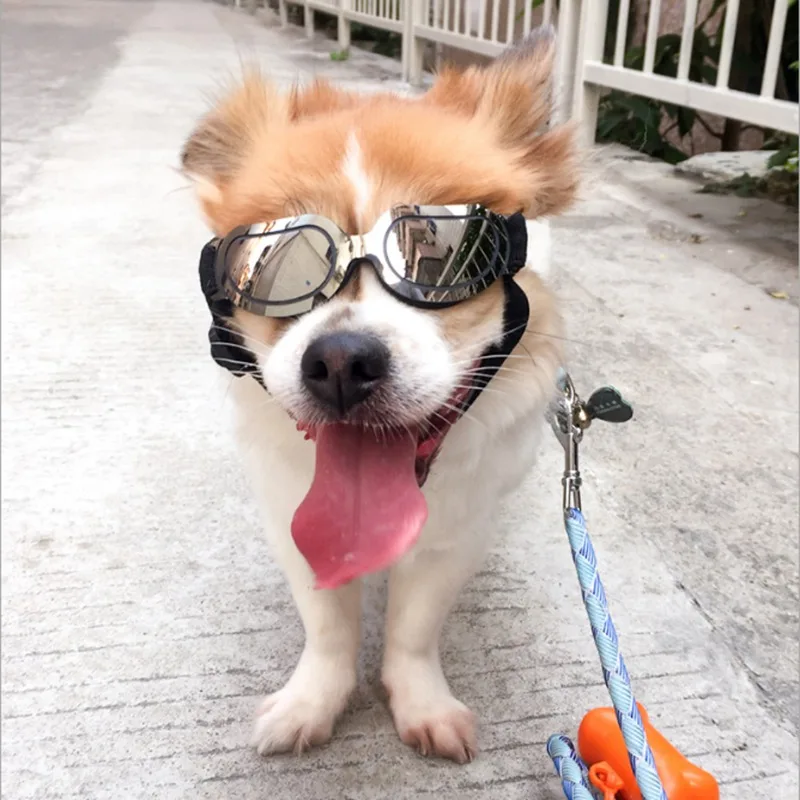 Супер крутые солнечные очки для собак с УФ-защитой, регулируемые эластичные ветрозащитные очки, очки для защиты глаз, очки для собак с УФ-защитой