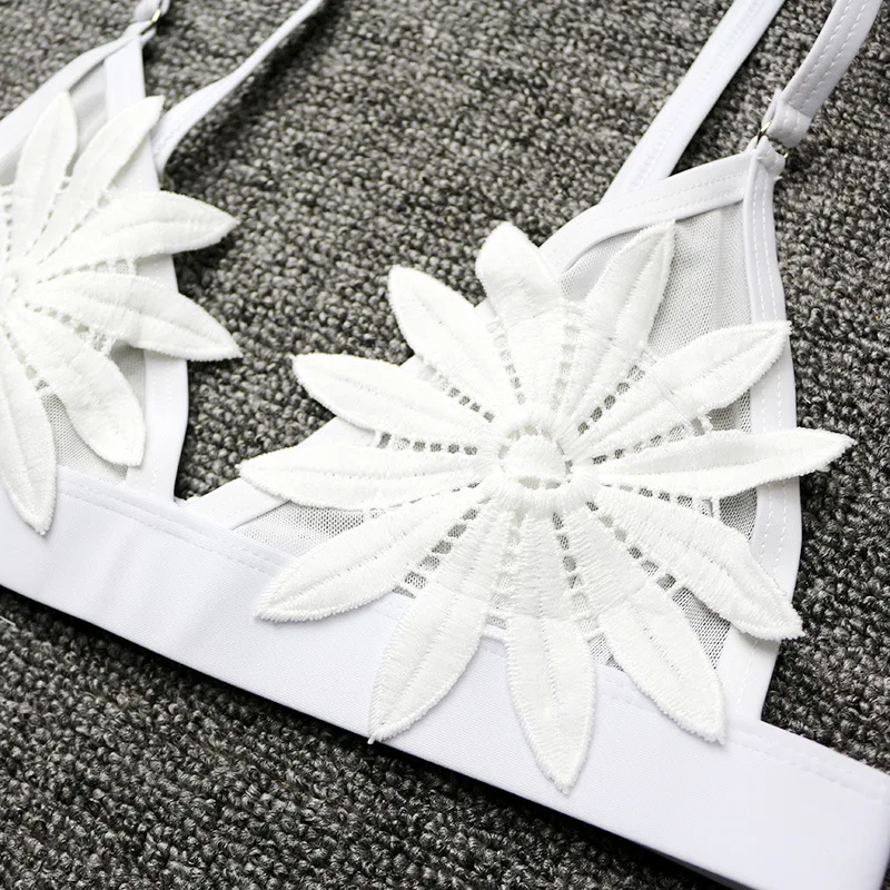 9159494243_1338594146