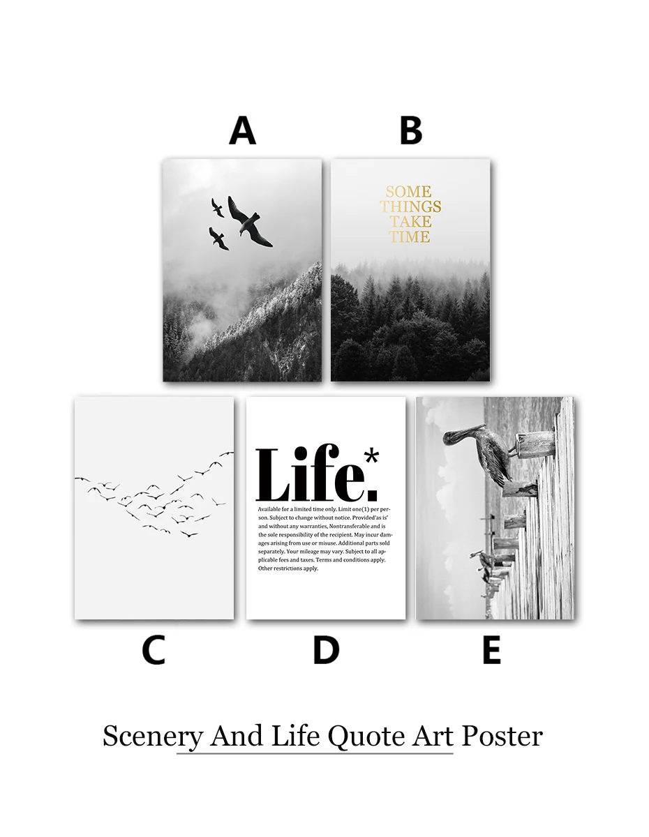 Animals&Landscape Wall Art Life Quotes Black&White Photo Modern Realistic Painting Vintage Posters&Prints Living Room Home Decor (2)