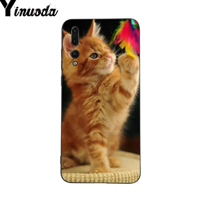 Yinuoda Pet Maine Coon Cat Diy чехол для телефона с рисунком Huawei P9 P10 Plus Mate9 10 Mate10 Lite P20 Pro Honor10
