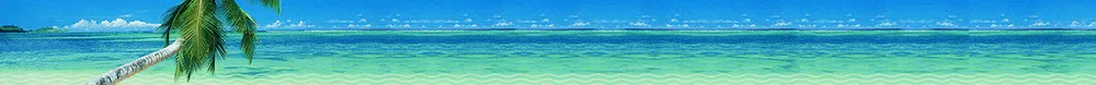 //ae01.alicdn.com/kf/HTB1n5KpKpXXXXa1apXXq6xXFXXXo/228356999/HTB1n5KpKpXXXXa1apXXq6xXFXXXo.jpg?smt_ispass_151636