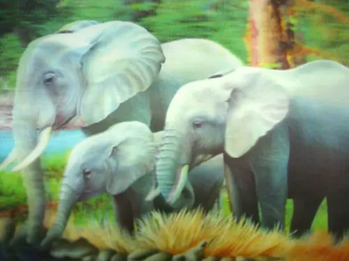 Unduh 420 Koleksi Gambar Efek Gajah  