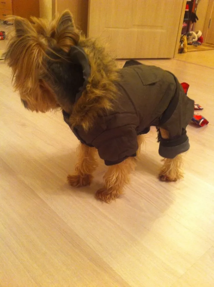 UT8aRPNXxtaXXagOFbXh