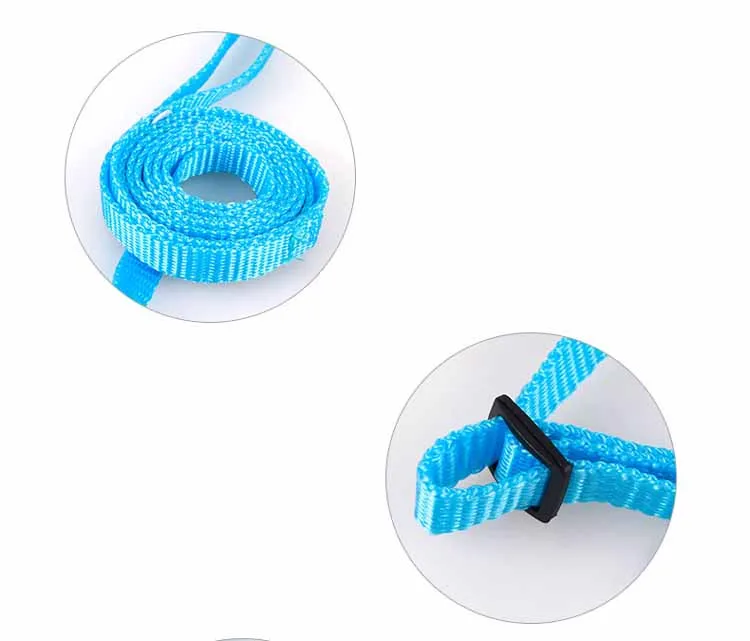 Cute Angel Pet Dog Leashes and Collars Set Puppy Leads for Small Dogs Cats Designer Wing Adjustable Dog Harness Pet Accessories Wholesale8