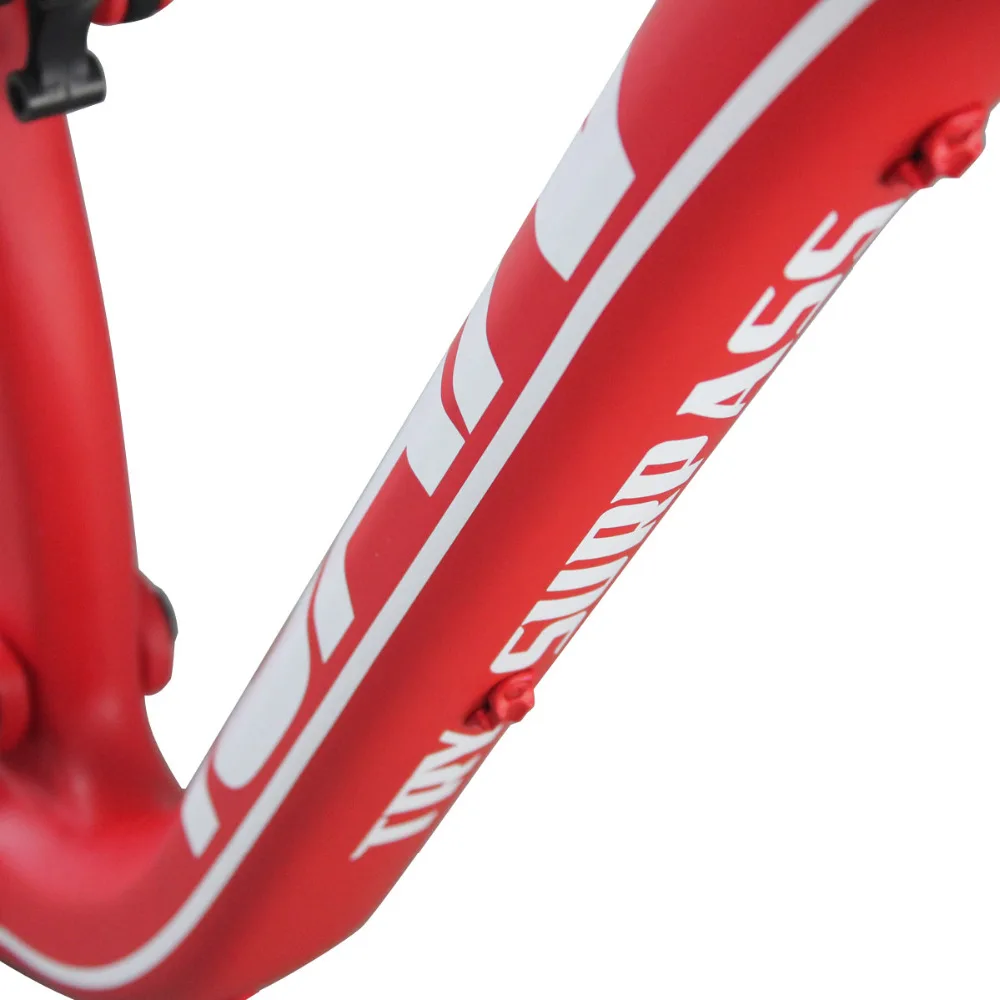 Excellent ICAN white logo 29er dual carbon frame suspension carbon mtb frames 17.5 inch available promotion price 5