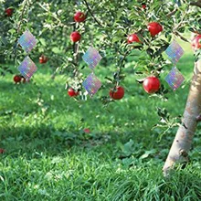8 шт. Птичье средство-репеллент лазерные Светоотражающие сдерживающие диски ромбовидные наружные Садовые принадлежности