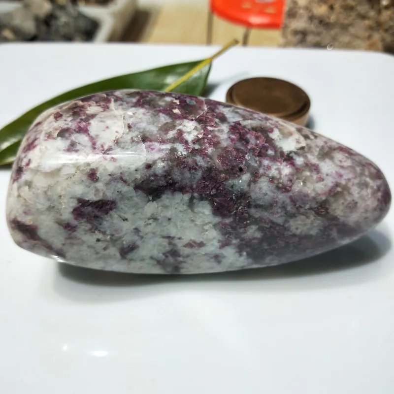 conew_img20190309160559