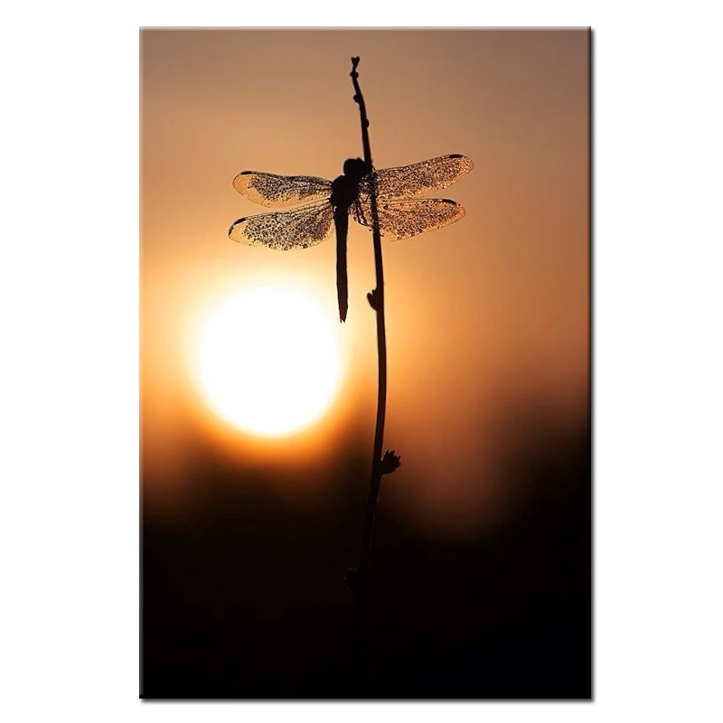 Diamond Embroidery Full Mosaic Dragonfly Diy 5D Diamond Painting Square