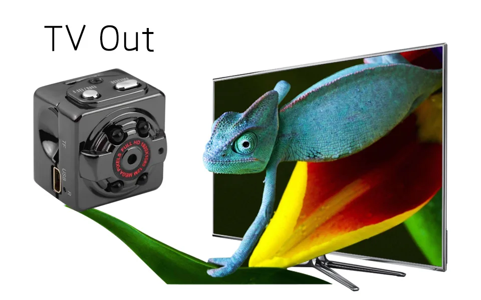 3TV