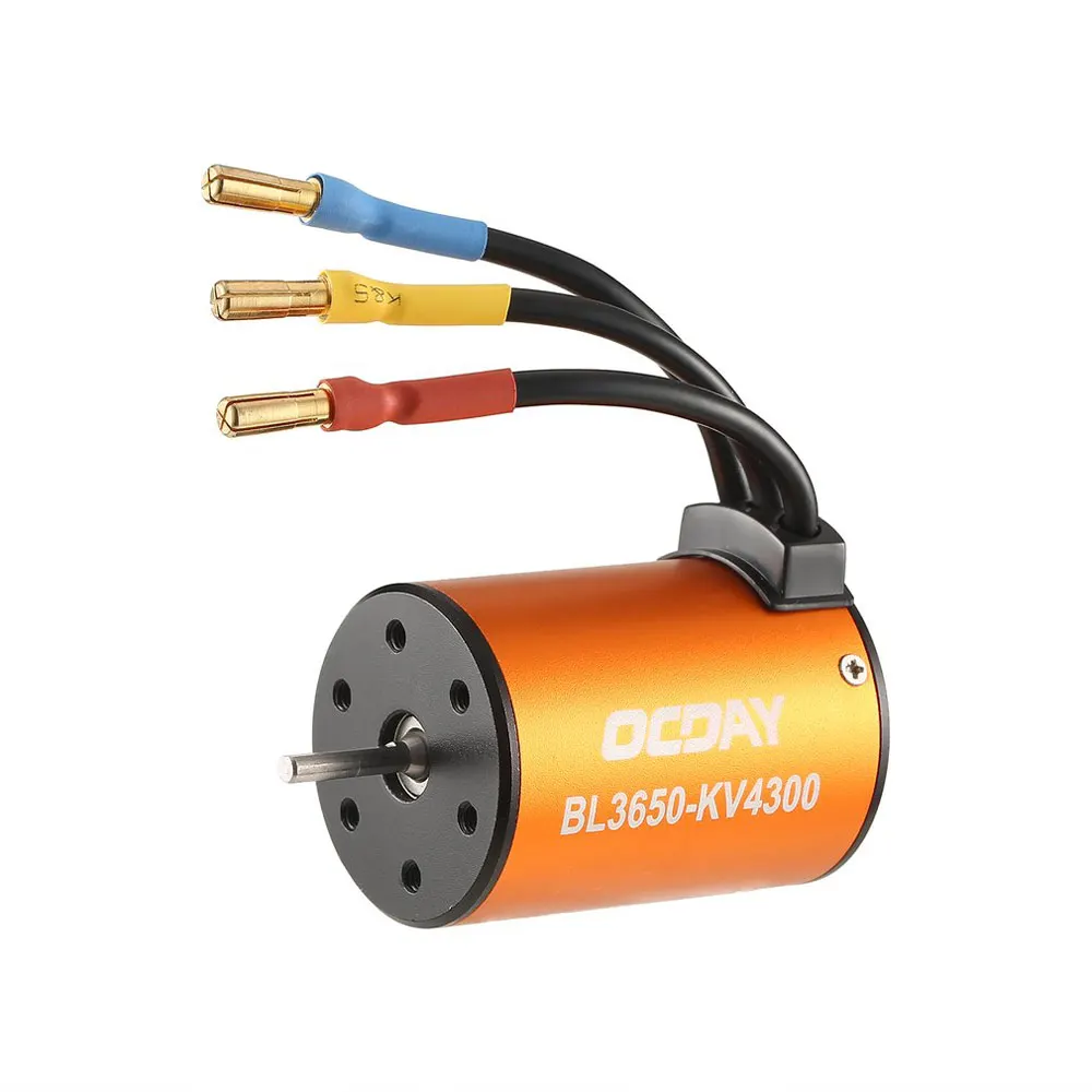 electric brushless motor rc car