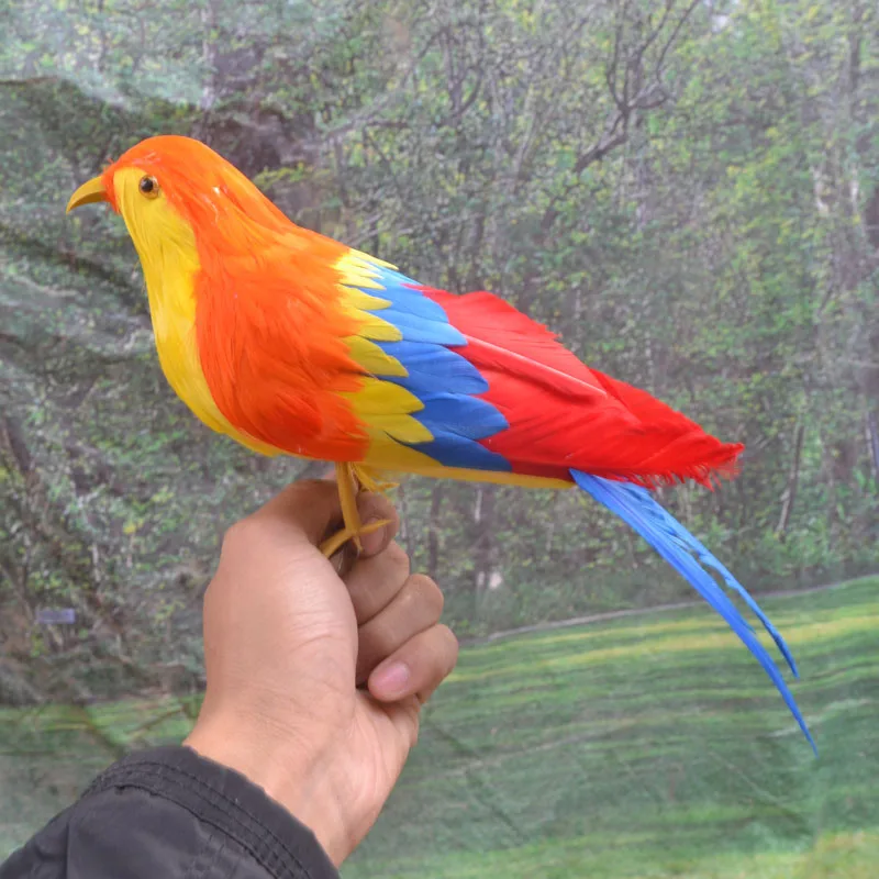 25cm simulation Bird colourful feathers parrot toy model home,garden decoration filming prop gift h1077 newborn photography props wool felt baseball football basketball for baby photo toy airplane decoration theme creativity prop