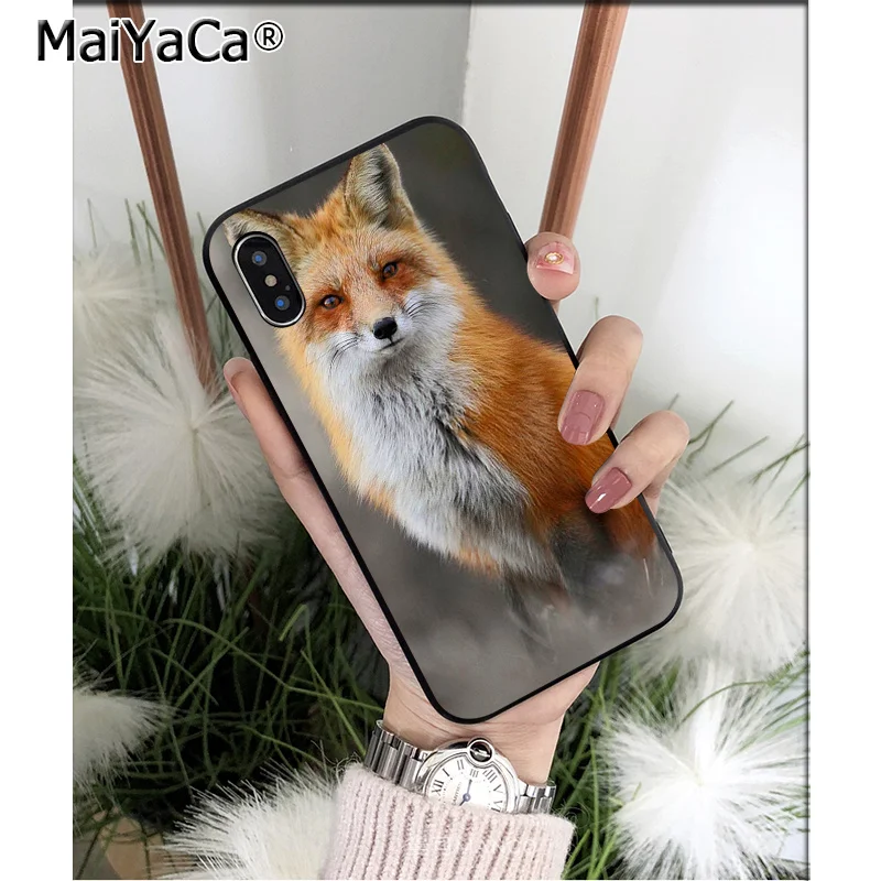 MaiYaCa животное енот лиса высокое качество чехол для телефона iPhone X XS MAX 6 6S 7 7plus 8 8Plus 5 5S XR