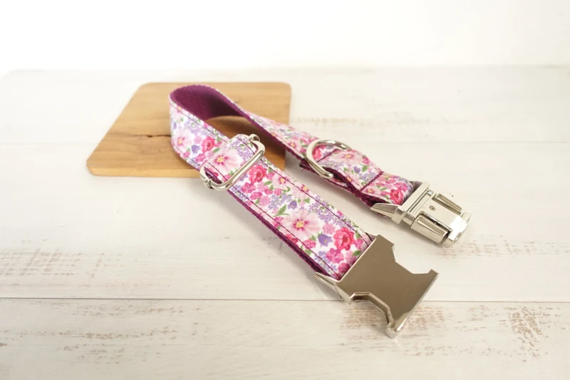 Pet Dog Collar and Leash (19)
