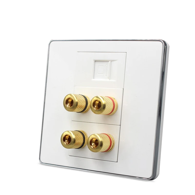 Silver Edge Cat 5e RJ45 + Speaker + Speaker Wall Outlet pic 3