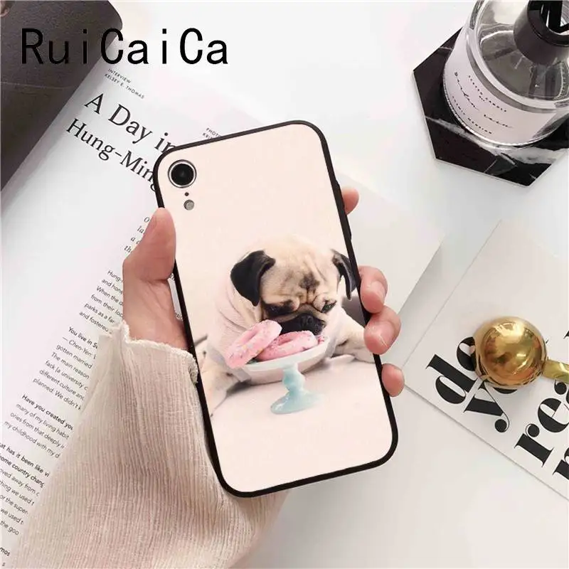 Animal Cute Pug Dog