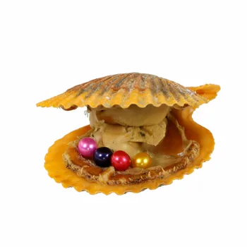 

Akoya Oyster AAA+ Grade 7-8mm Round Multicolored Freshwater Wish Pearl Vacuum Package for Kids Party Funny Gifts RR020