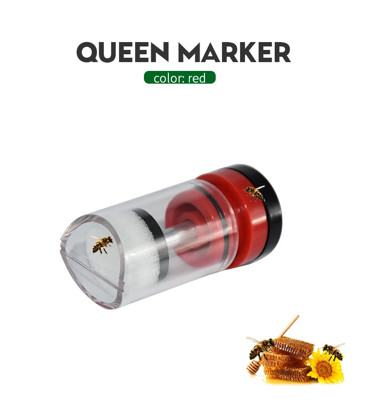 QC11详情_01