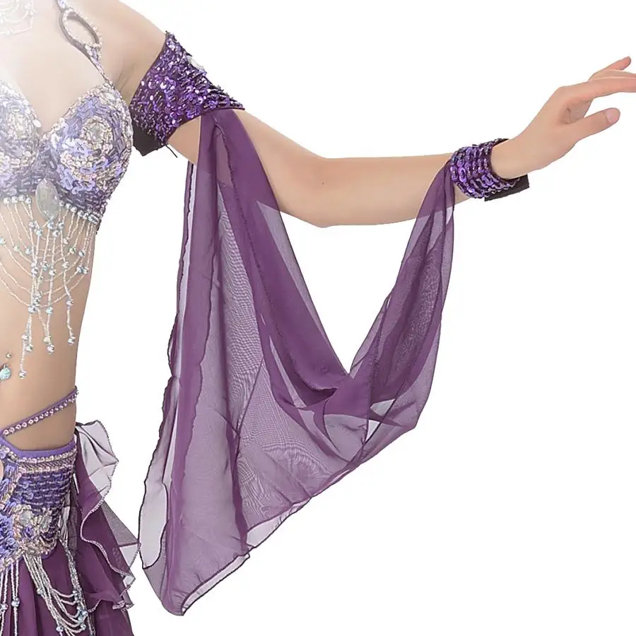 Best Dance OEM Belly Dance Performance Sequin Armwear Chiffon Armband