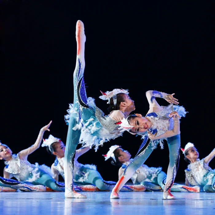 

Little lotus style call for dance performances new animal modeling service birds children costumes