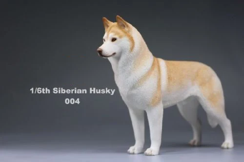 6 цветов, аксессуары для 1:6, Siberian Husky Simulation animals, фигурка для шестилетней собаки, модель игрушки для 12 дюймов, фигурка