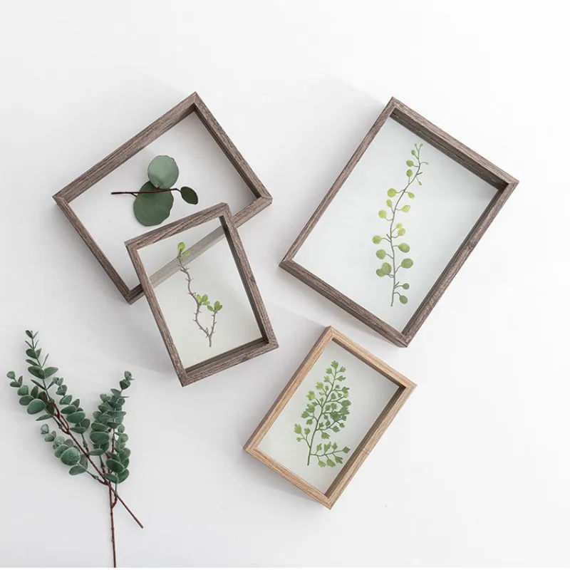 Creative Plant Specimens Double Sided Acrylic Plastic Frame Solid Wood Plexiglass Decorative