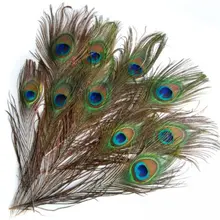 20 pcs Artificial peacock feathers w / Eyes