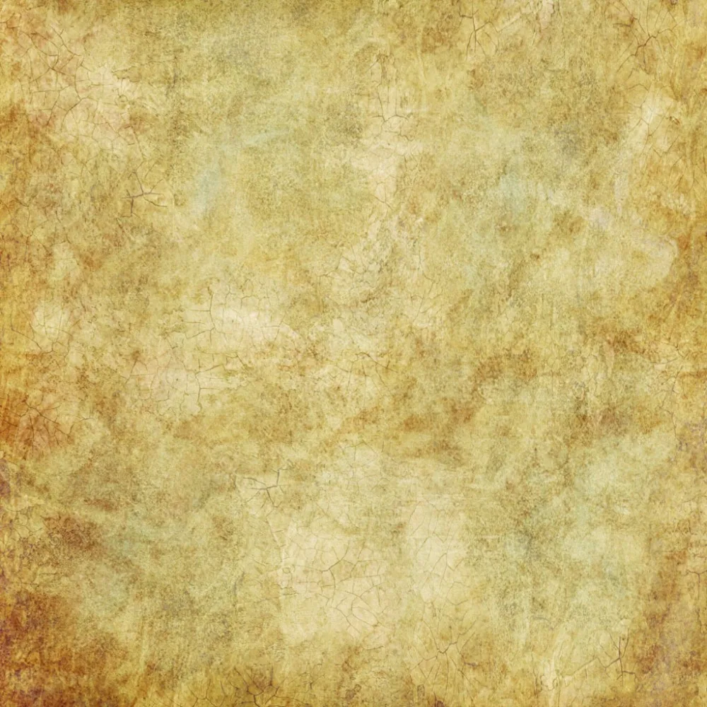 

Vinyl Custom Photography Backdrops Prop Digital Printed Lace theme Photo Studio Background JUT-15109