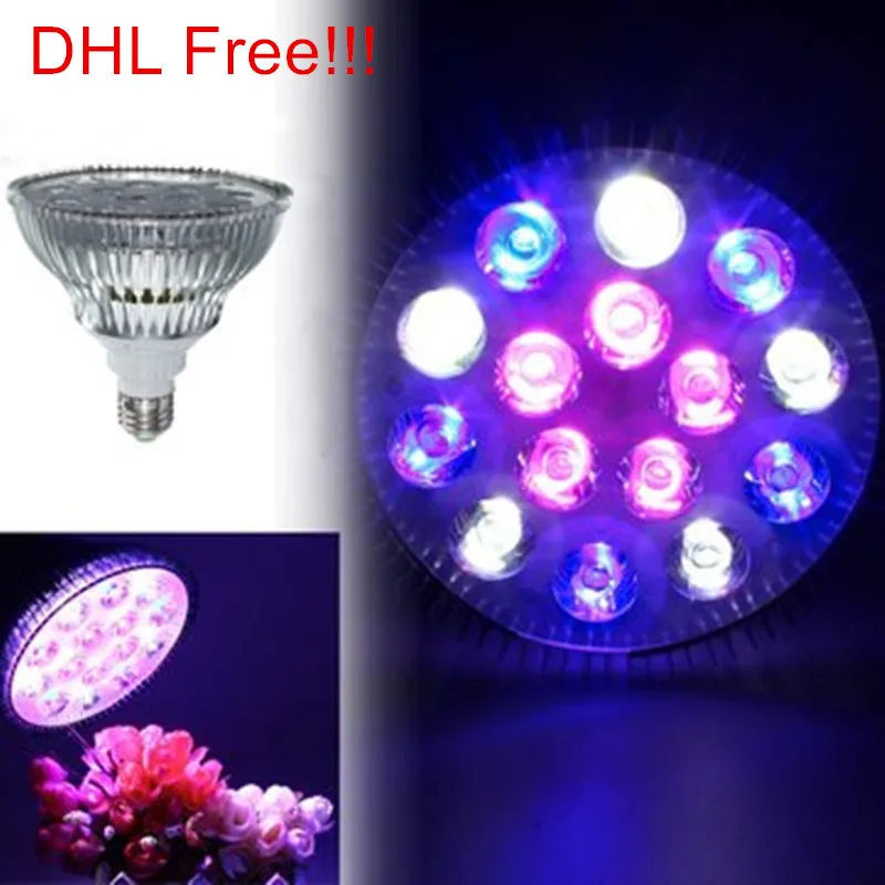 

High quality E27/B22 Par38 15W AC85-265V 5 Red + 5 Bulb +5 White Professional LED Plant Grow Light 20pcs/lot,DHL Free Shipping!!