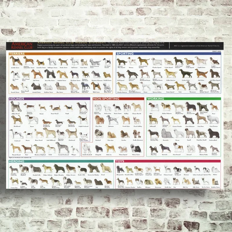 

Dog Breeds The Diagram Of Dog Art Canvas Poster Pictures for Living Room