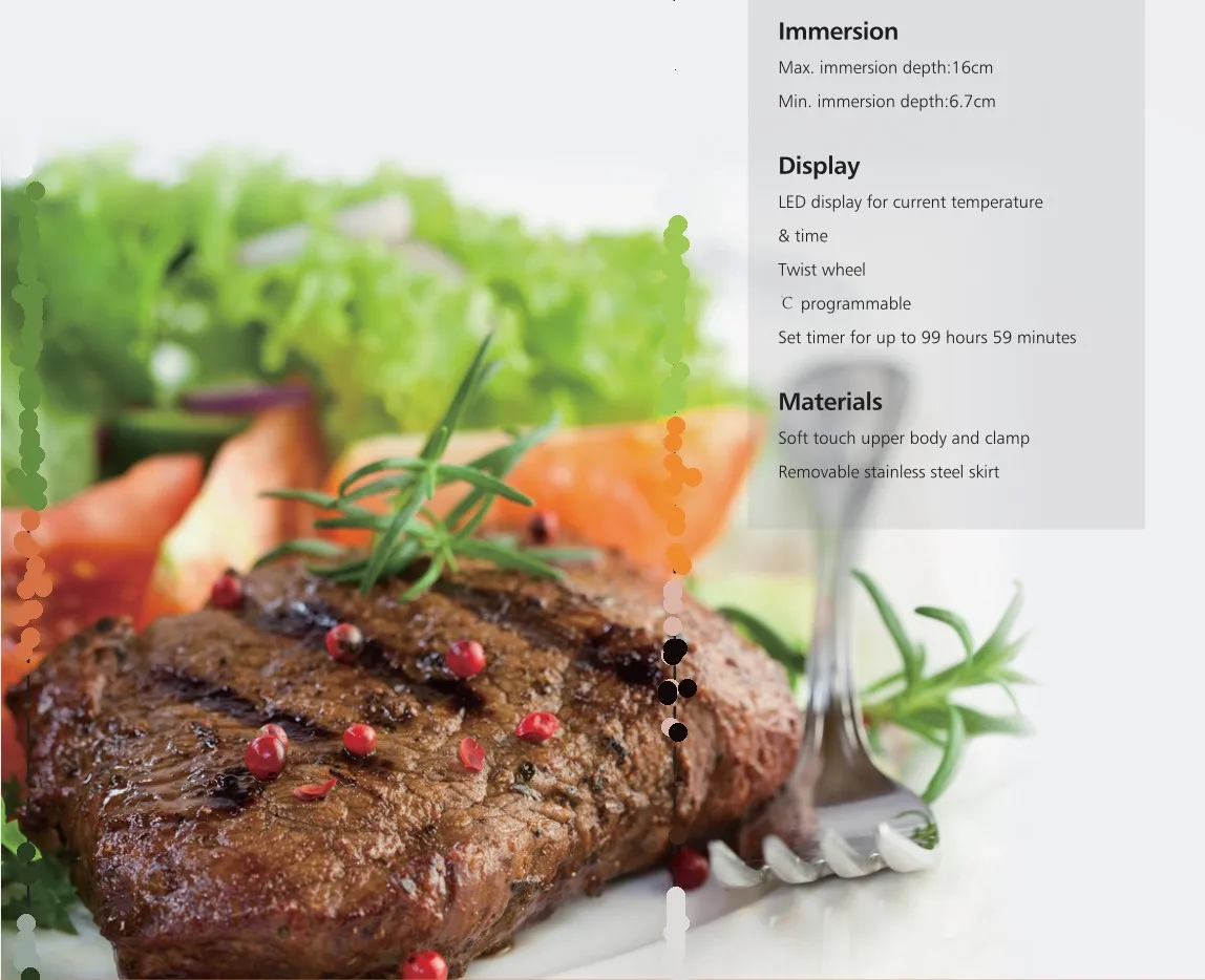 Sous vide плита sous vide палка плита низкая температура повар чистый вареный стейк плита Медленная Плита палка Sous Vide идеальный повар