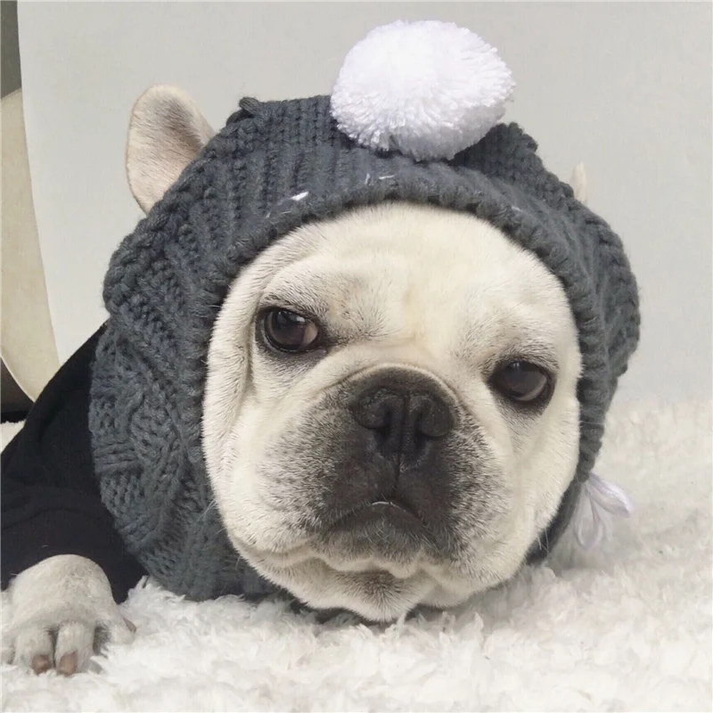 Resultado de imagem para cachorros de chapéu