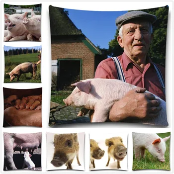 

Farm pig 2D print creative Pillow case Square cotton polyester cushion cover 5 size 9 style