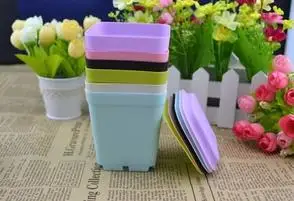 

10pcs 7Cm*8Cm Small Flower pot plants pot for Magic beans Jack beans seeds pot