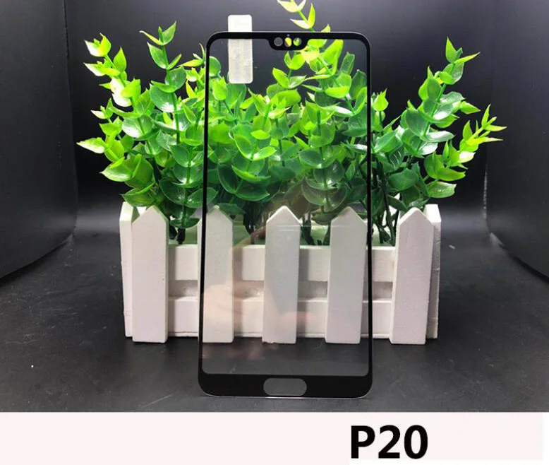 P20