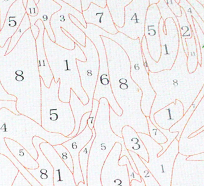 9229365340_1830155888