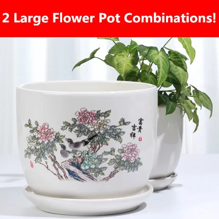 

Ceramic Bonsai Pot Home Large Flower Pot With Tray Green Dill Meat Simple Small flower Basin 2 a Combinations