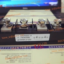 RM250DZ-H RM250DZ-2H