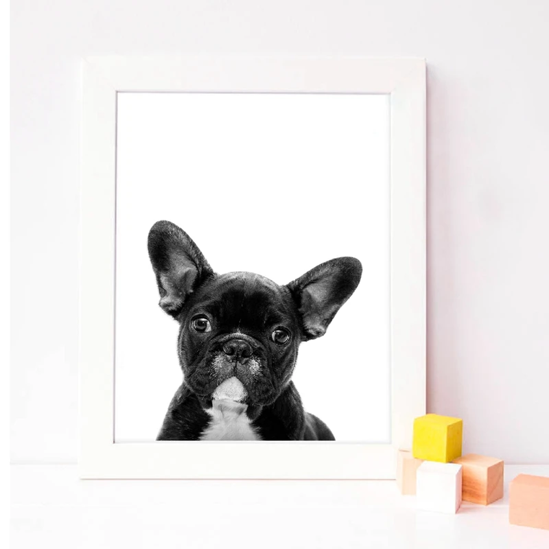 French Bulldog Print