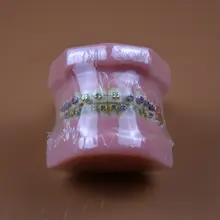1pc Orthodontic teeth models dental education teeth model jaws with metal bracket Dental Models Teeth and Jaw Models