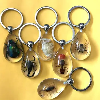 

FREE SHIPPING 16 PCS NEW REAL DROP MIX ANT SCORPION SPIDER CRAB BEETLE INSECT LUCITE KEYCHAIN JEWELRY YQTCK001