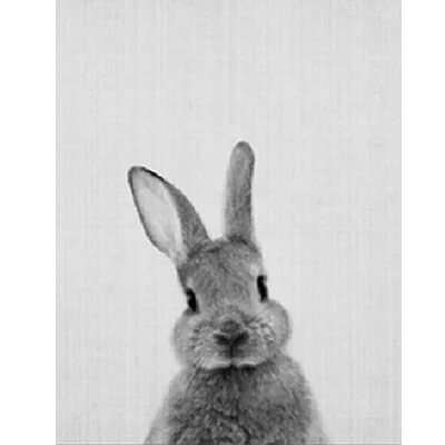 Front or back rabbit sold seperately canvas painting black white animal poster print nordic wall art picture home decor unframed in painting calligraphy Front or back rabbit sold seperately canvas painting black white animal poster print nordic wall art picture home decor unframed in painting calligraphy