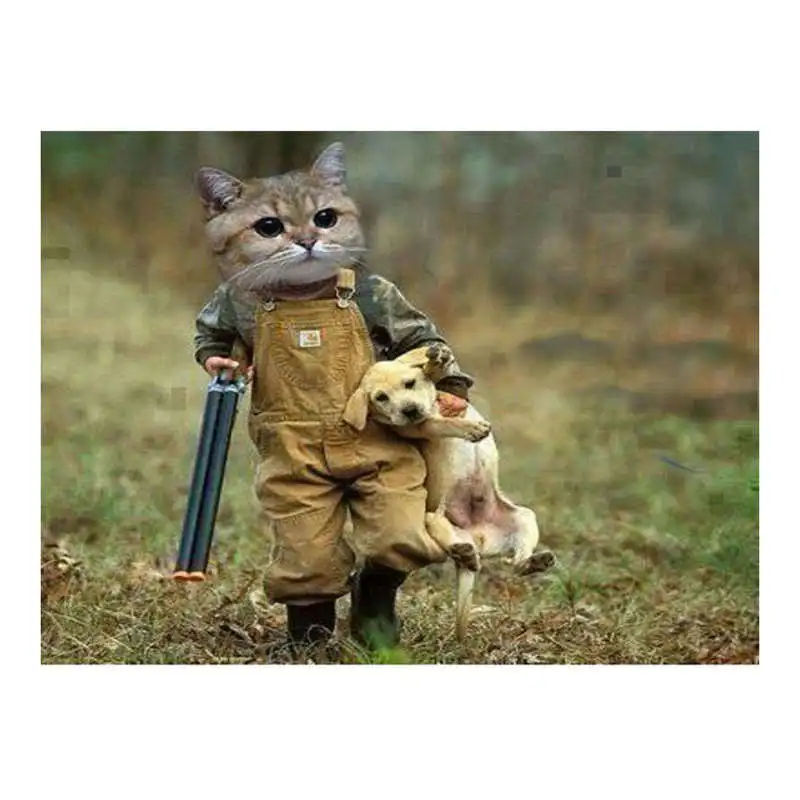 

Handsome Kitten Multicoloured Diamond Embroidery Sale 5D Diamond Painting Full Diamond 3D Picture Of Rhinestones Cross-St