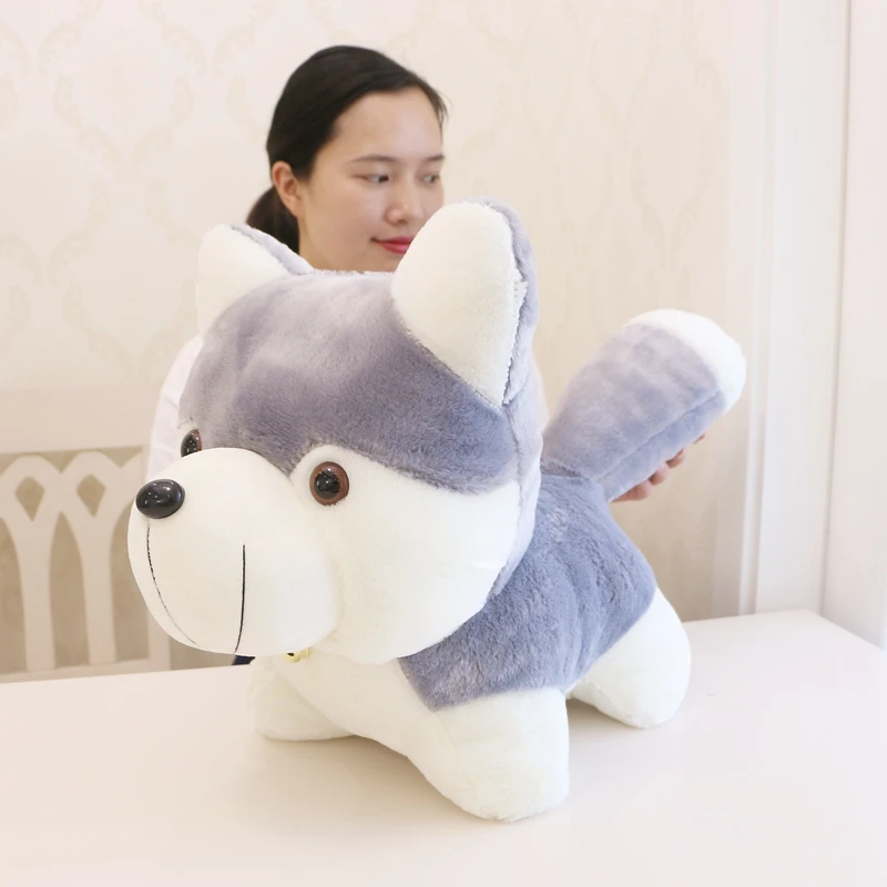 cute husky doll plush toy dog toys children's day birthday gift deco DY50689 (7)