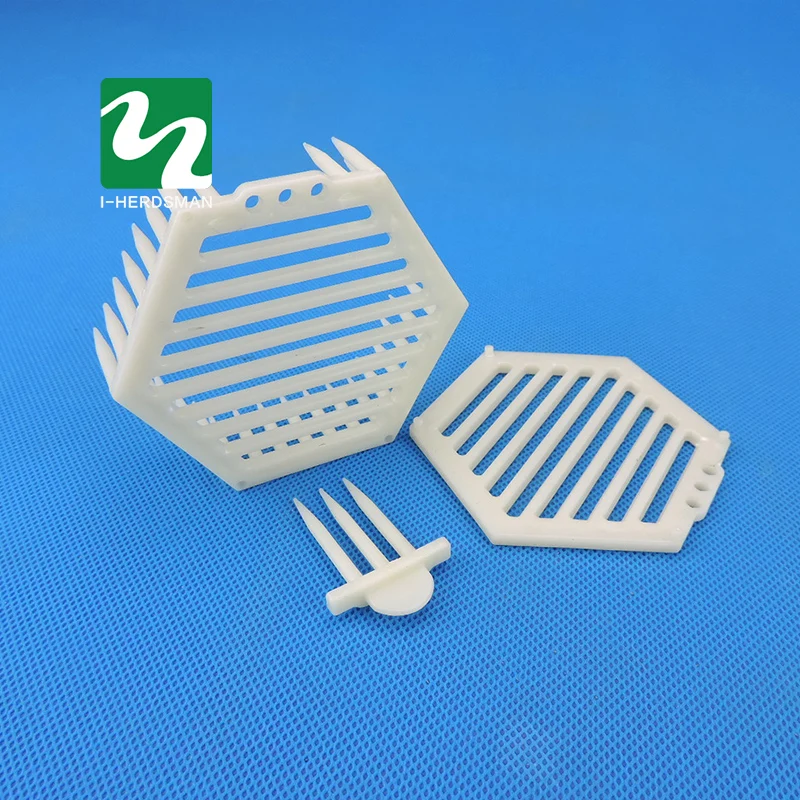 

Needle Queen Bee Cage Queen Bee Bearing Beekeeping Tool