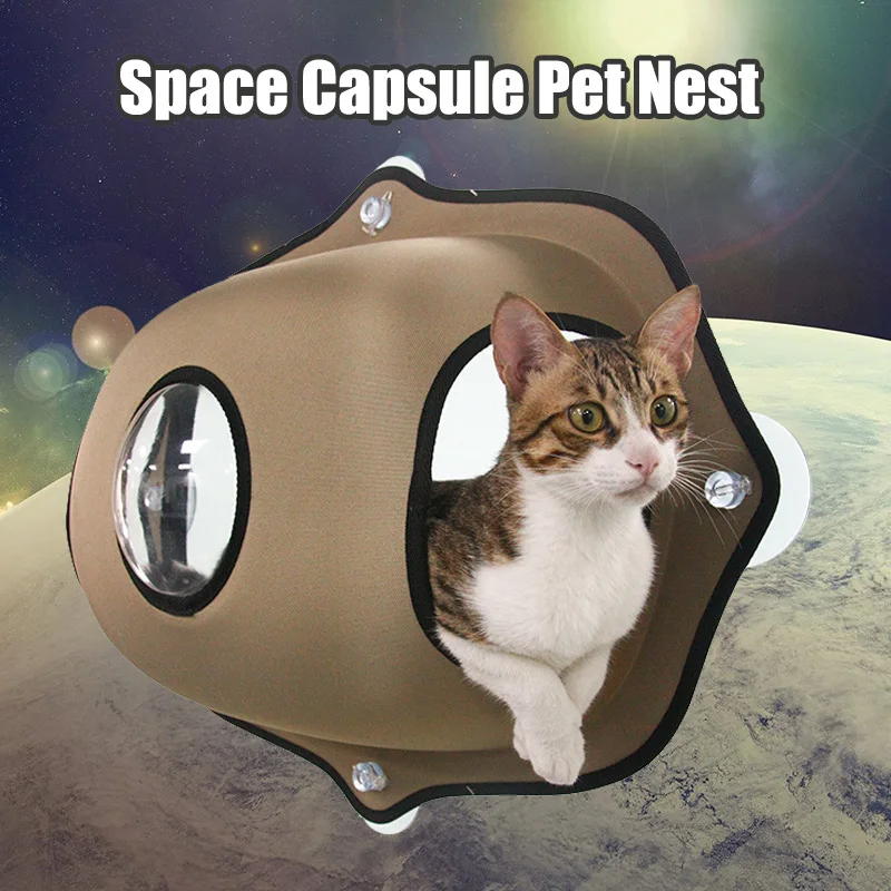 Fenetre Chat Ventouse Lit Chat Transat Lit Hamac Canape Tapis Chaise Longue Perche Coussin Etagere Suspendue Ventouse Siege Pour Furet Chinchilla Aliexpress Fenetre Chat Ventouse Lit Chat Transat Lit Hamac Canape Tapis Chaise Longue Perche Coussin Etagere Suspendue Ventouse Siege Pour Furet Chinchilla Aliexpress