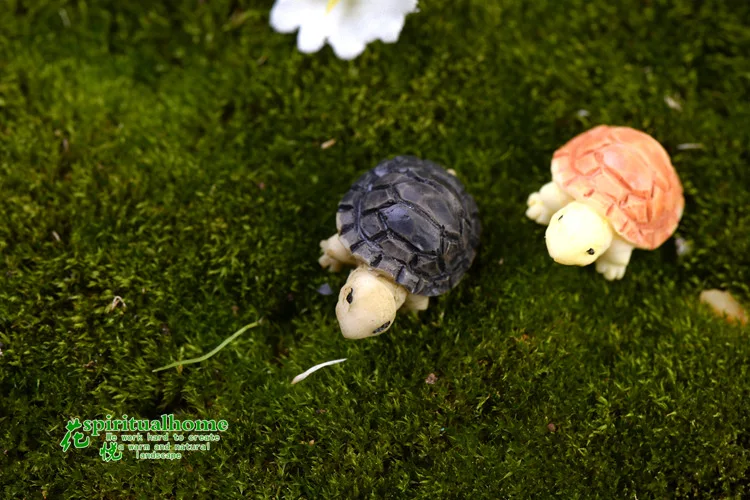 Ornaments Bryophyte Micro Landscape Meaty Plants Two Colored Small Turtles Tortoise Shells for Diy Home Decor Miniature Garden ornament crafts miniature figurines resin ornaments miniature ornament resin crafts
