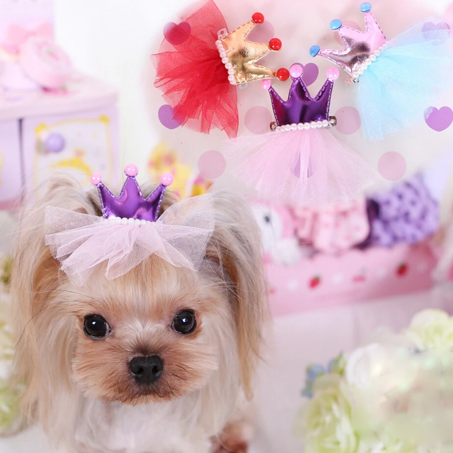 yorkie hair accessories popular poodle grooming buy cheap poodle grooming lots from china poodle yorkie hair accessories popular poodle grooming buy cheap poodle grooming lots from china poodle