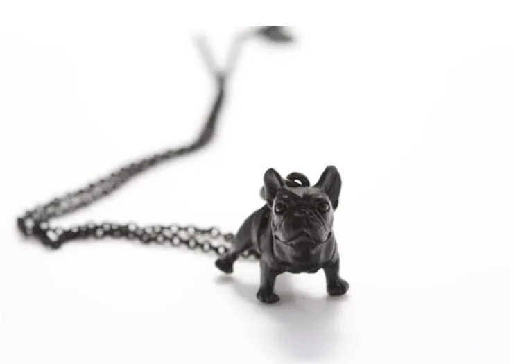 French Bulldog1