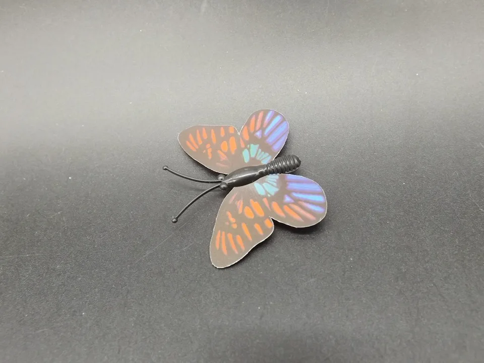 I246-Butterfly (7)